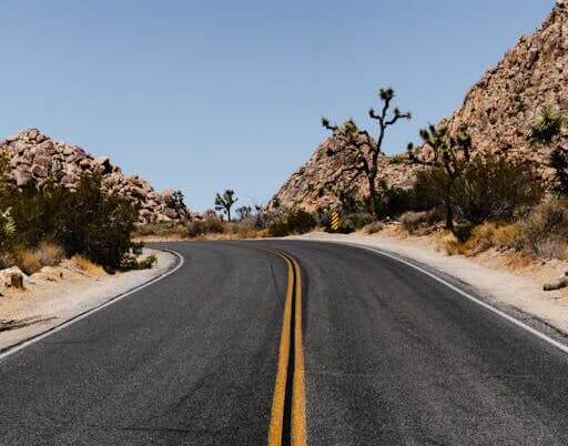 charter bus rental to joshua tree