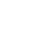Charter Bus Fleet